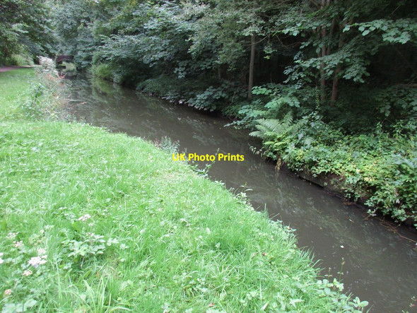 Photo 6"x4" Narrowing of the Chesterfield Canal Thorpe Salvin c2015
