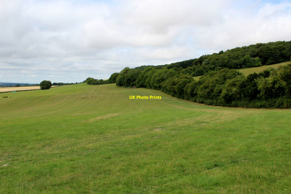 Photo 6"x4" Slopes of Charing Hill Charing c2015