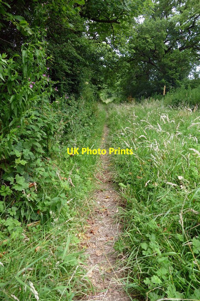 Photo 6"x4" Saltersford Lane Gallows Green\/SK0741 c2015