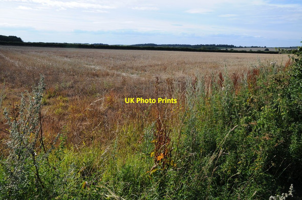 Photo 6"x4" Arable field near Great Bircham Great Bircham c2015