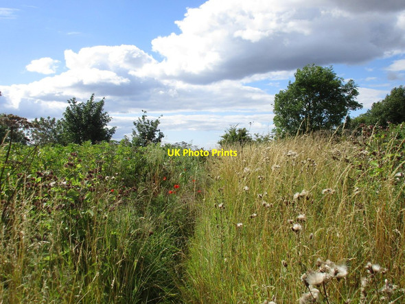 Photo 6"x4" Bridleway by the churchyard Kennythorpe c2015