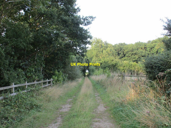 Photo 6"x4" Track by the motorway Newland\/SE8029 c2015