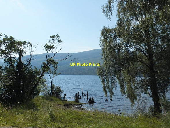Photo 6"x4" Tree stumps on the shore of Loch Rannoch Kinloch Rannoch c2015