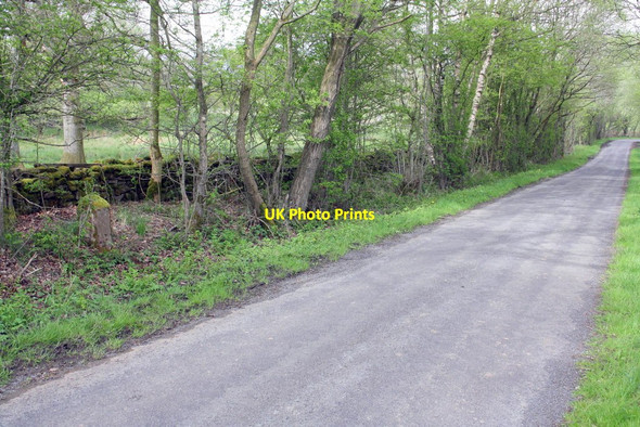 Photo 6"x4" On minor road approaching Teas Bridge on the way to Appleby Colby\/NY6620 c2015