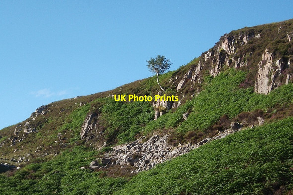Photo 6"x4" Crags above the Swordly Burn Kirtomy c2015