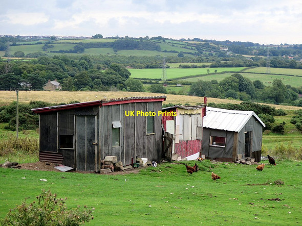 Photo 6"x4" Pigeon Crees, Cockfield Fell Esperley Lane Ends c2015