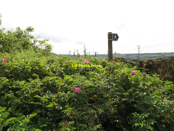 Photo 6"x4" Overgrown footpath at Bilberry Hall Farm Sowerby Bridge c2014