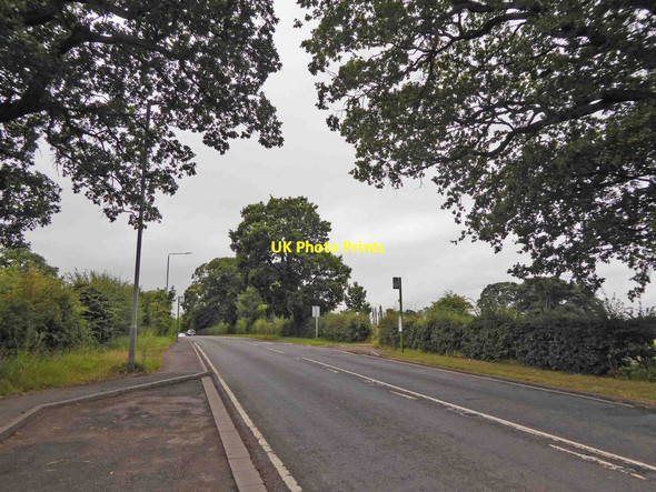 Photo 6"x4" B600 near Moorgreen Eastwood\/SK4646 c2015