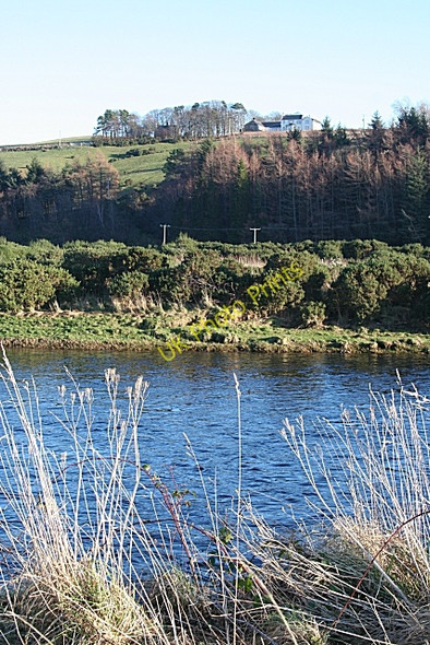Photo 6"x4" Bridgeton Farm from the River Spey Orton\/NJ3153 c2009