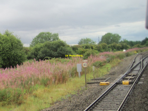 Photo 6"x4" View from a Bristol-Cardiff train - Pilning Junction Marsh Common\/ST5683 c2015