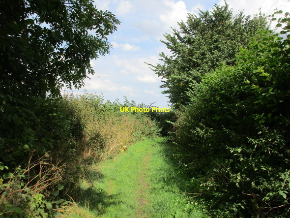Photo 6"x4" Doles Lane Bakestone Moor c2015