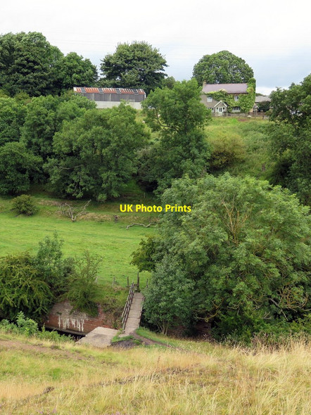 Photo 6"x4" Footbridge below Low Butterknowle Farm Esperley Lane Ends c2015