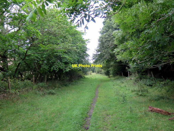Photo 6"x4" Trackbed of disused railway by River Gaunless Cockfield\/NZ1224 c2015