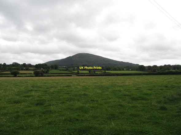 Photo 6"x4" Grazing land on the east side of Glenloughan Road Greencastle\/J2411 c2015