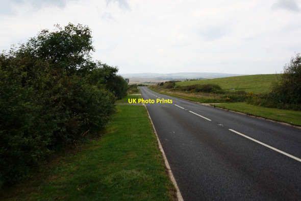 Photo 6"x4" The coastal path near Blackgang Chine Blackgang c2015