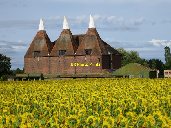 Photo 6"x4" Oast House at Little Mill Farm, Underlyn Lane, Marden Marden\/TQ7444 c2015 P1