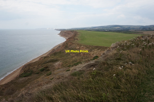 Photo 6"x4" Coastal path at Brighstone Bay Thorncross c2015