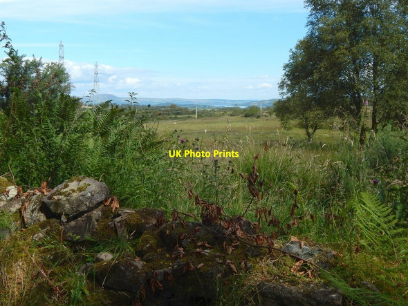 Photo 6"x4" Beside Old Luss Road Helensburgh c2015