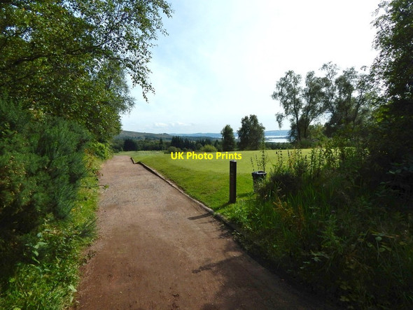 Photo 6"x4" Beside Old Luss Road Helensburgh c2015 P1