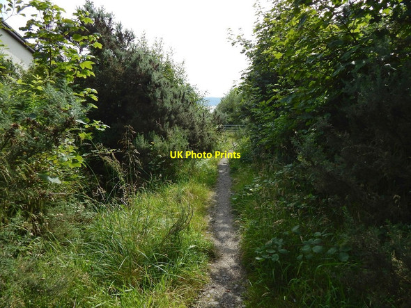 Photo 6"x4" Old Luss Road Helensburgh c2015 P1