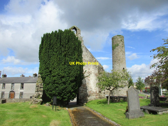 Photo 6"x4" Yew and west front of old St. Cronan's church Roscrea c2015