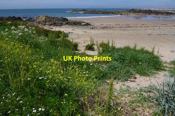 Photo 6"x4" Porth Nobla Bryn Du\/SH3472 c2015