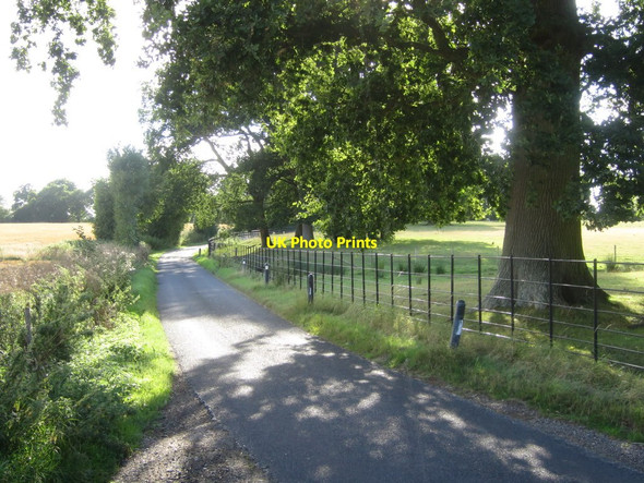 Photo 6"x4" Butt Green Lane Linton\/TQ7549 c2015