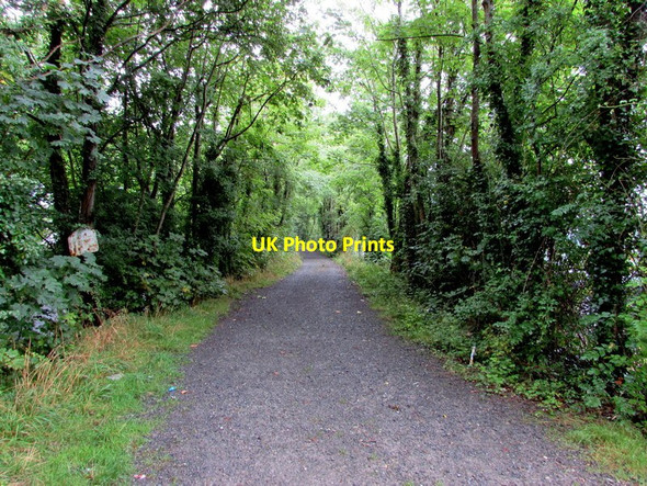 Photo 6"x4" Riverside path, Llangennech Cae-gors c2015
