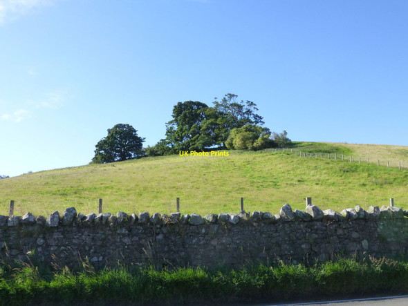 Photo 6"x4" Gallowlaw Hill Wooler c2015