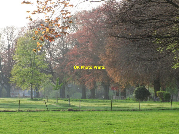 Photo 6"x4" Hereford - Bishop's Meadows Hereford c2015