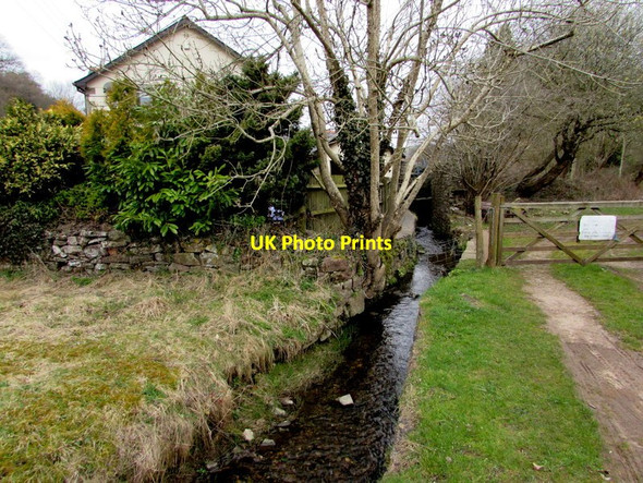 Photo 6"x4" Brook and gate, Clearwell Clements End c2015
