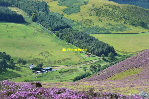 Photo 6"x4" Upper Newby, Glen Sax Bonnington\/NT2538 c2015