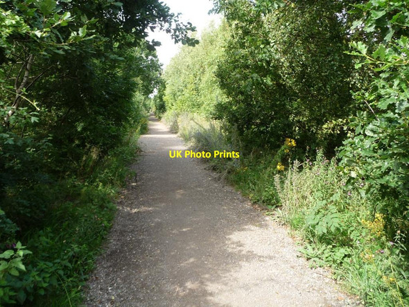 Photo 6"x4" Public bridleway on the unfinished Midland main line Royston\/SE3511 c2015