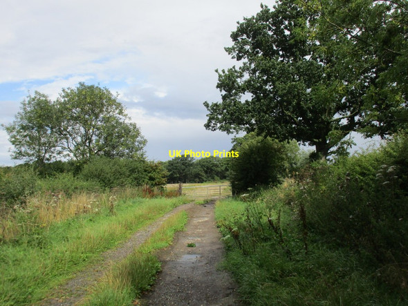 Photo 6"x4" Owlethall Lane Laytham c2015 P2