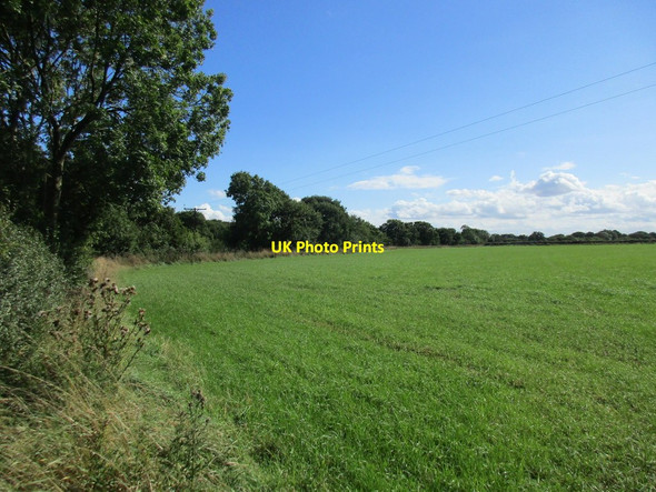 Photo 6"x4" View alongside Charity Drain Laytham c2015
