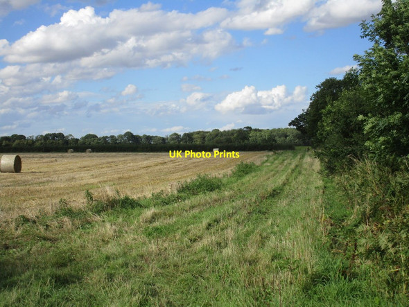 Photo 6"x4" Harvested field near Broomhill Plantation Storwood c2015