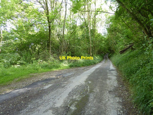 Photo 6"x4" Unnamed lane goes east to the South Downs Way Cootham c2015