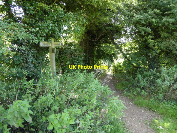 Photo 6"x4" Signpost at bridleway crossing on the South Downs Cootham c2015