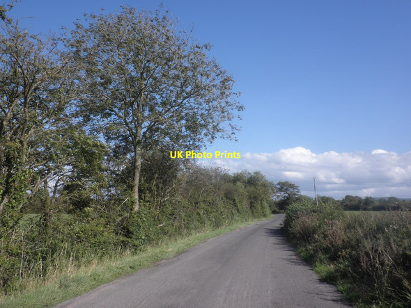 Photo 6"x4" Colehouse Lane Clevedon c2015