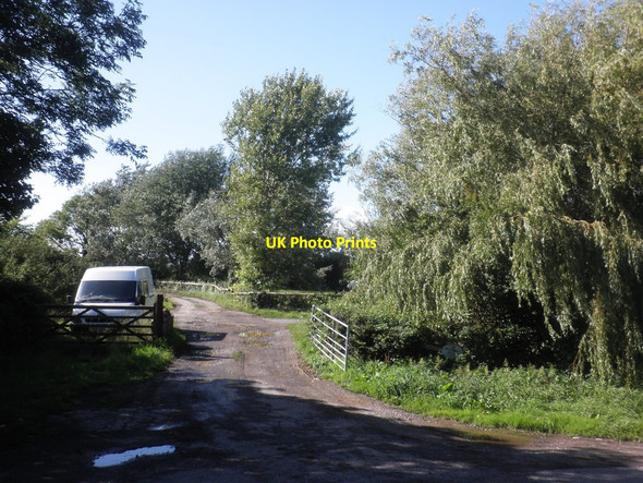 Photo 6"x4" Track to Seawall Farm Kenn\/ST4169 c2015