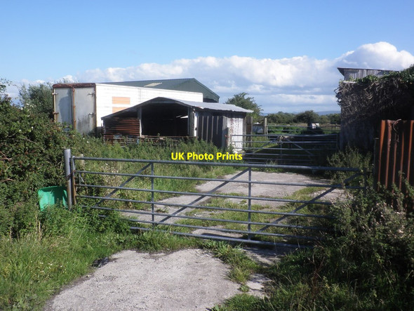 Photo 6"x4" Smallholding on Back Lane Kingston Seymour c2015