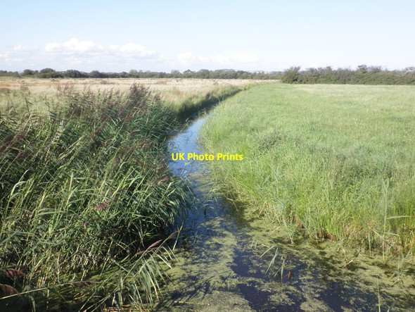 Photo 6"x4" Broadstone Gout Icelton c2015