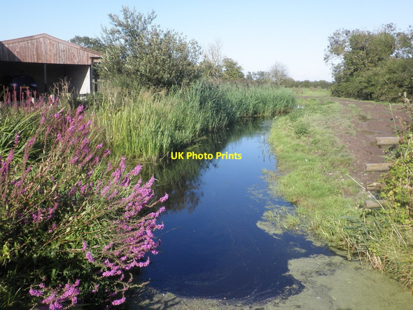 Photo 6"x4" Broadstone Rhyne Icelton c2015