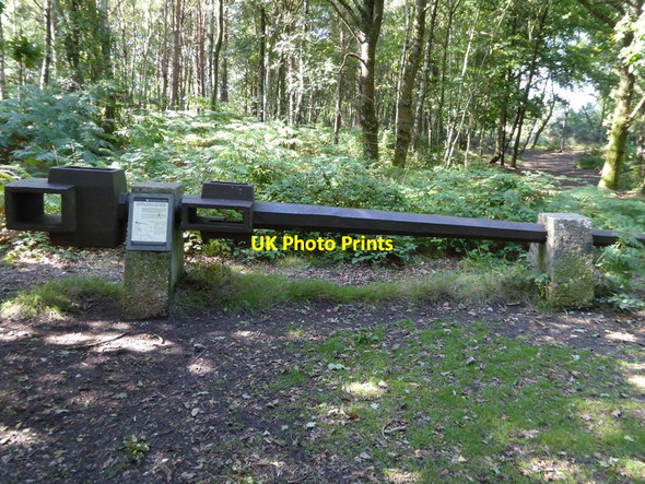 Photo 6"x4" Remains of the White Mill in Sullington Warren Sullington Warren c2015