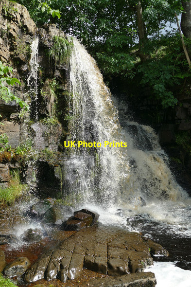 Photo 6"x4" Upper East Gill Force  Keld\/NY8901 c2015