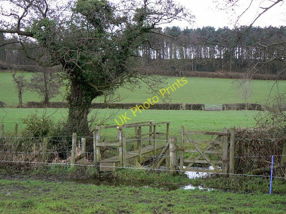 Photo 6"x4" Footbridge across the Tad Brook Dapple Heath c2009