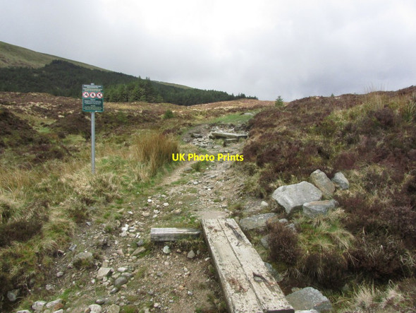 Photo 6"x4" Start of path leading up towards The Stony Top from beside Bullock Pass Brook Knockanarrigan c2015