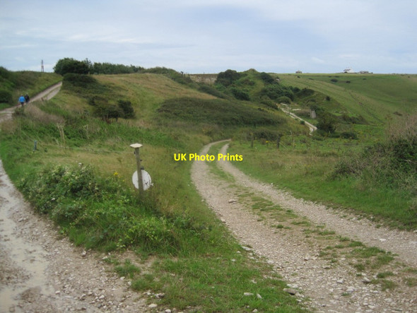 Photo 6"x4" Track into St Aldhelm's Head Quarry Worth Matravers c2015