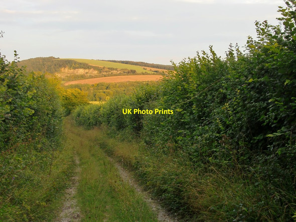 Photo 6"x4" Henley Lane Cocking c2015