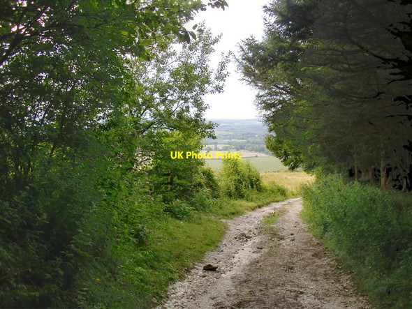 Photo 6"x4" Track emerging from woodland Bepton c2015